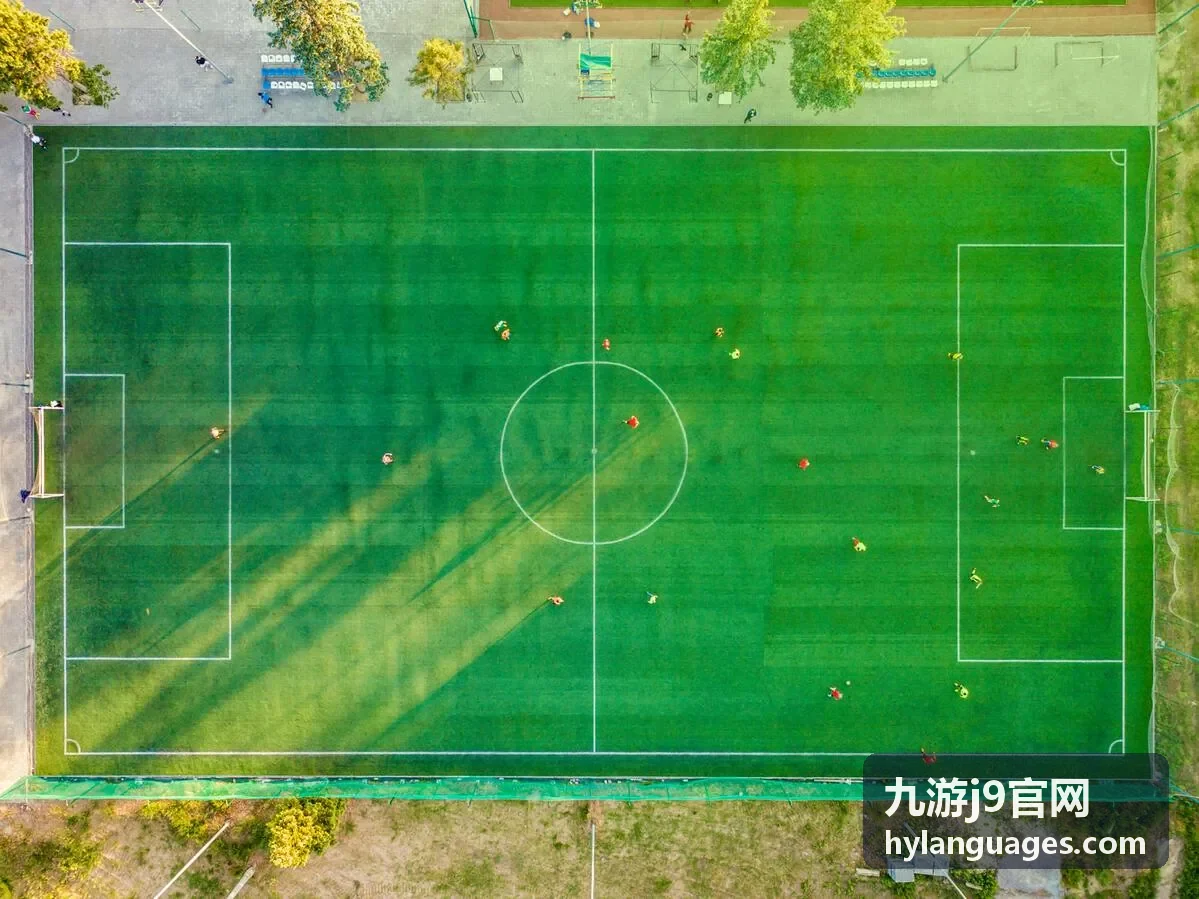 九游j9官网活动查询使用场景图